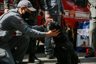 Dia Internacional de Cães de Resgate